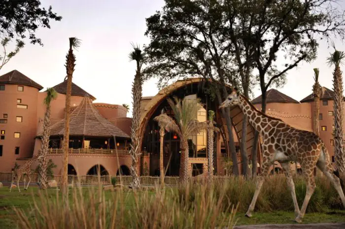 5 Reasons to Stay at Disney's Animal Kingdom Lodge 1