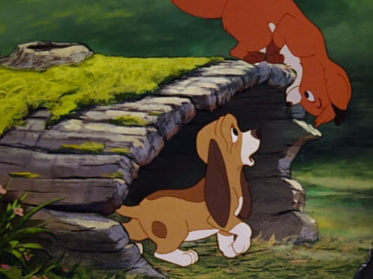 the fox and the hound 800x400