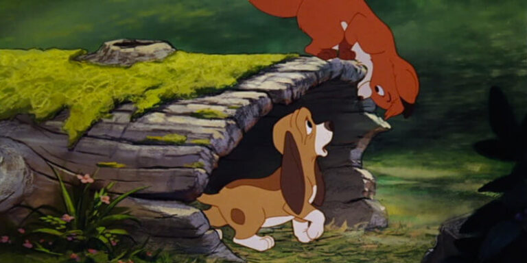 the fox and the hound 800x400