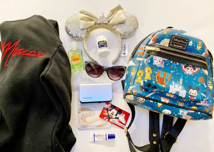 What to Pack in Your Disney Parks Bag 1
