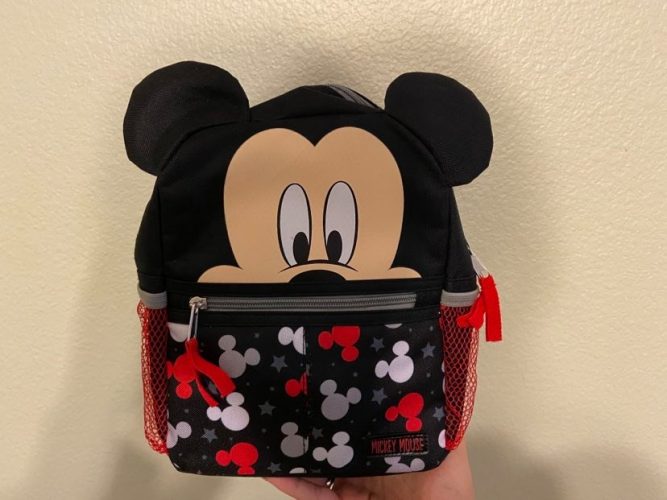 What to Pack for My Disney World Vacation? 3