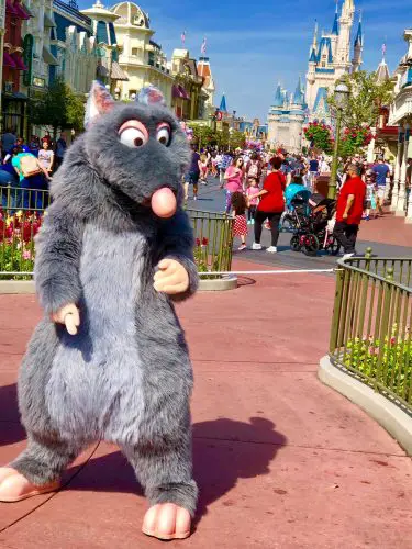 Celebrating Pixar's Ratatouille and the Upcoming "Remy's Ratatouille Adventure" Attraction 5