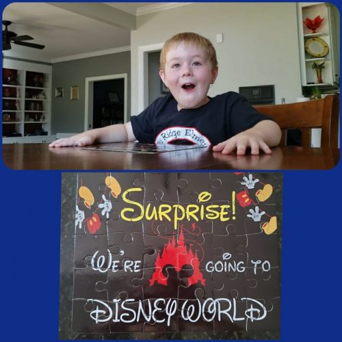 Disney surprise vacation