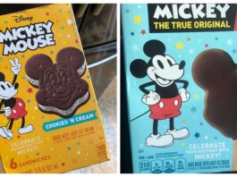 mickey ice cream scaled