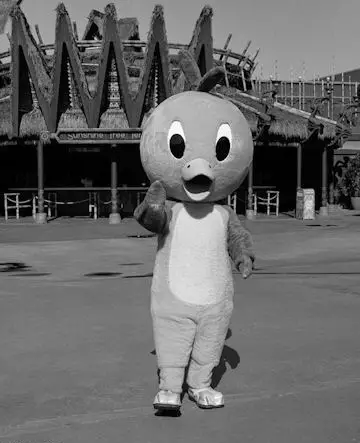 Who is the Orange Bird at Walt Disney World 3
