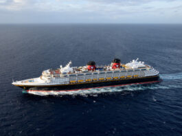 disney cruise line