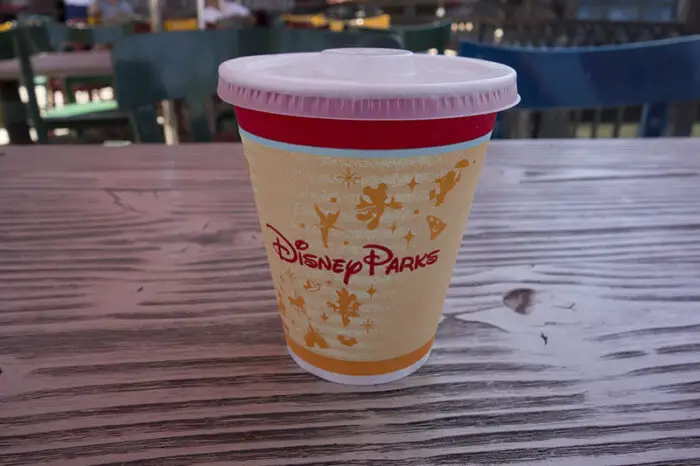 5 Tips for Visiting a Reopened Disney World 3