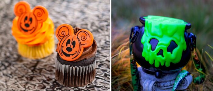 Some Fall Snacks And Treats Are Arriving At Disney World! 8