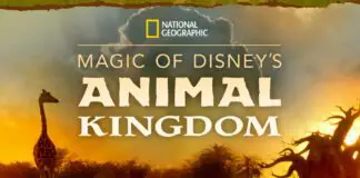 nat geo magic of disneys animal kingdom feature