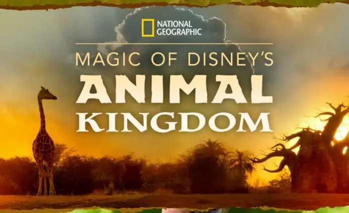 nat geo magic of disneys animal kingdom feature