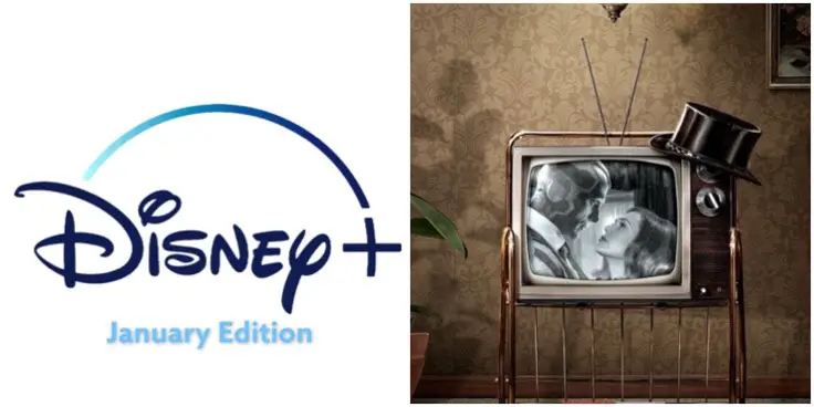 Movies And Shows Coming To Disney+ In January 2021!