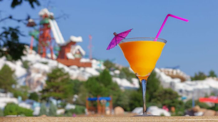 7 Reasons We are Excited for Disney's Blizzard Beach to Reopen 6