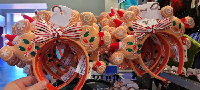Some of our Favorite Minnie Ears at Disney World 14