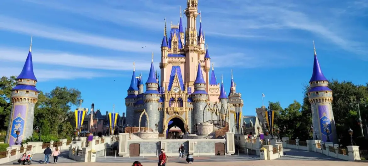 Is Disney Safe or Should You Wait to Visit?