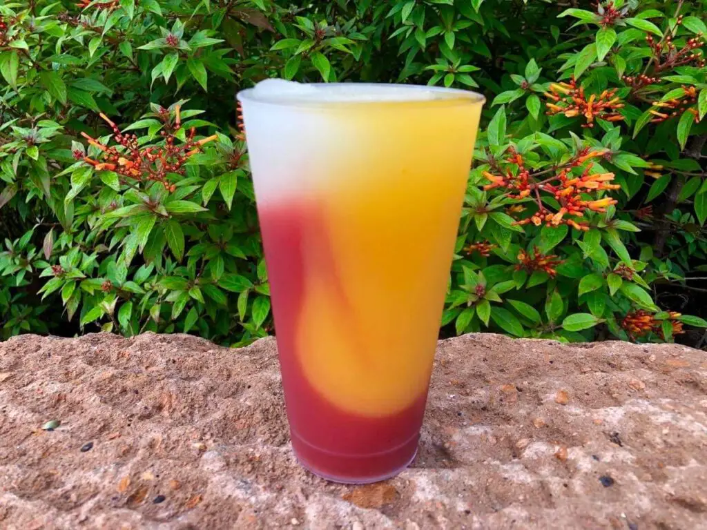 Our Top 3 Drinks in Epcot's World Showcase for Adults 2