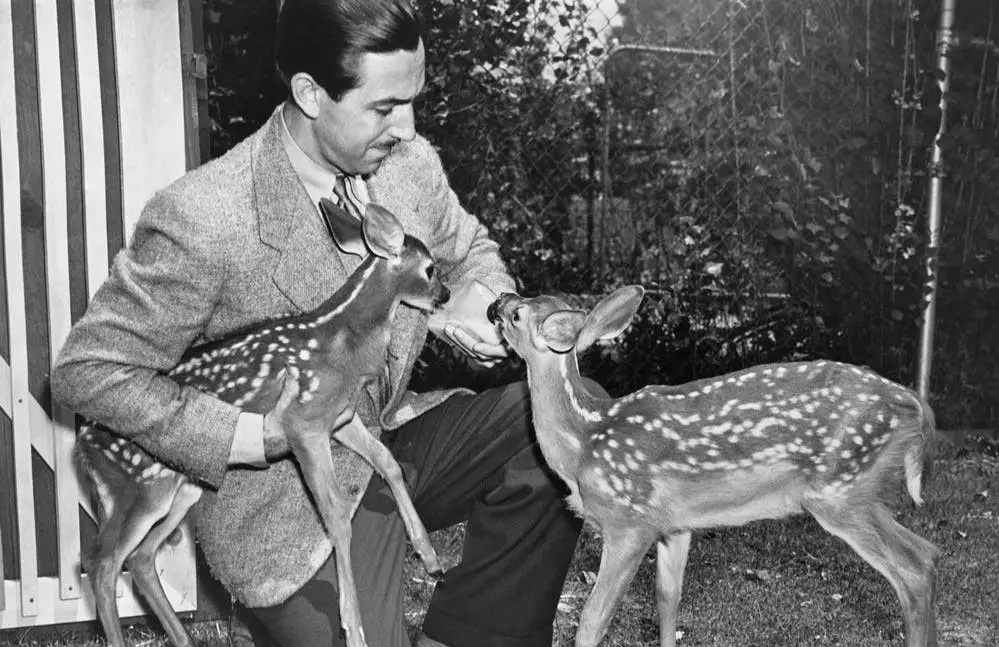 5 Fan Favorite Facts about Bambi 1