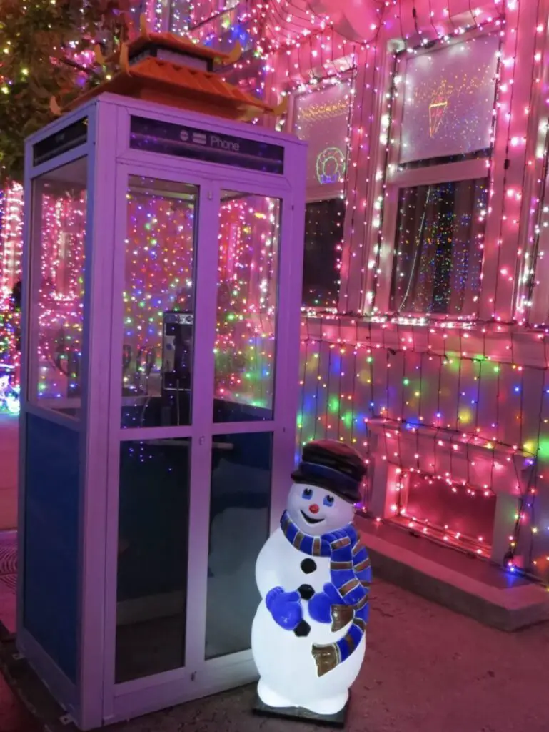 We miss The Osborne Spectacle of Dancing Lights 7