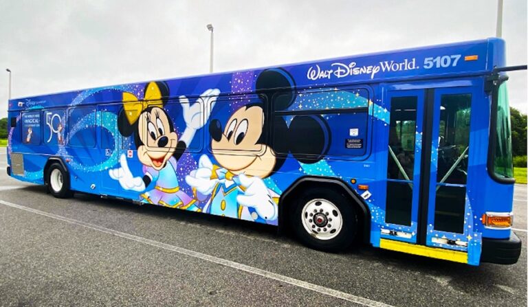 bus