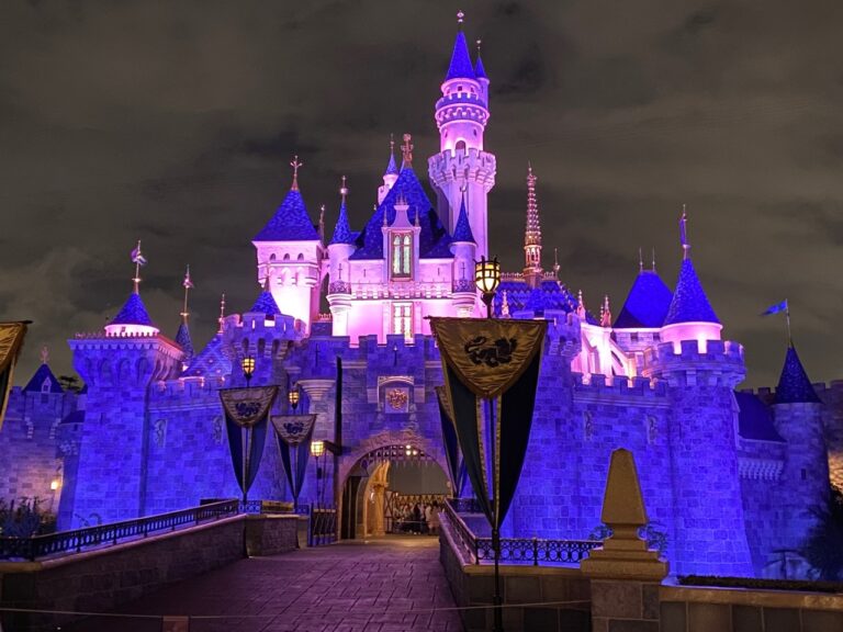 disneyland night