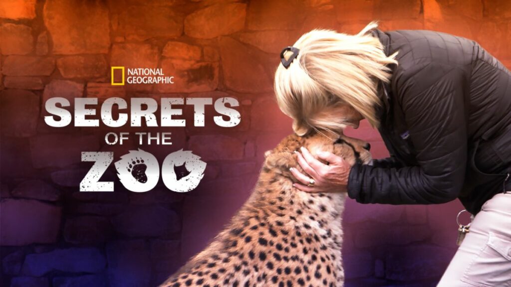 secrets of the zoo