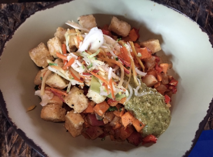 5 of the Best Vegan Meals at Walt Disney World 2