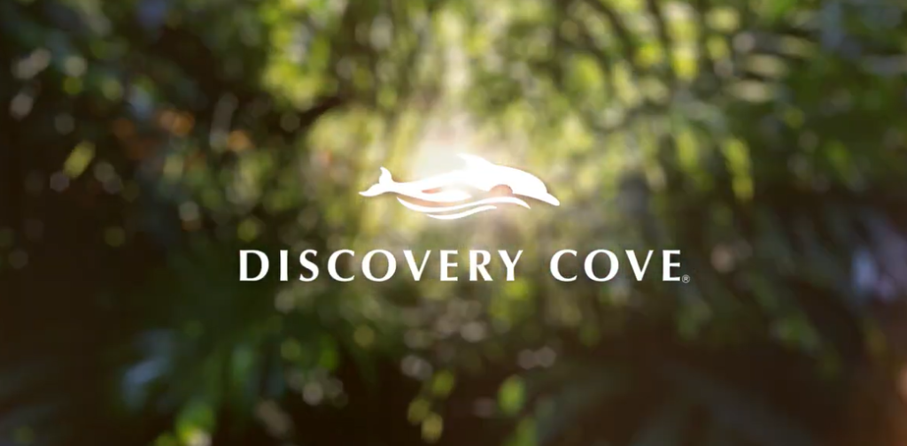 Why you should visit Discovery Cove when you are in Orlando 1