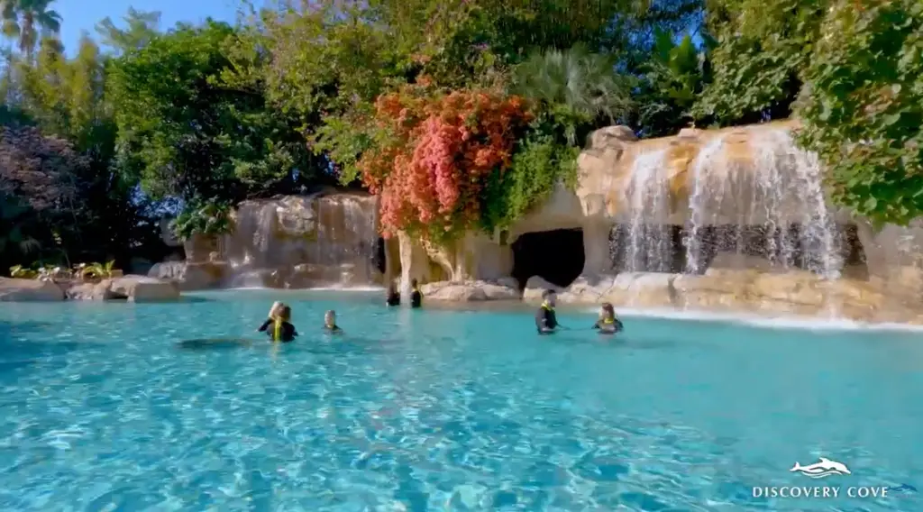 Why you should visit Discovery Cove when you are in Orlando 3