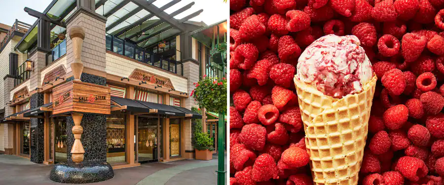 Guide to Disneyland's 67th Anniversary Treats and More 9