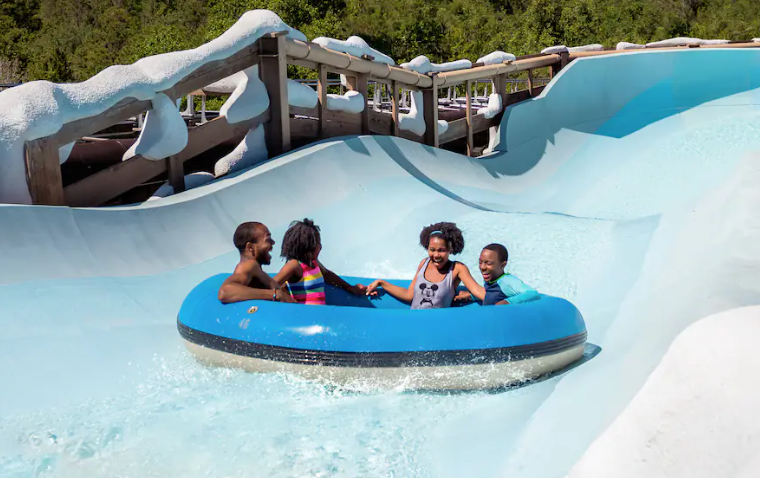 Top 9 Ways to Get Excited for Blizzard Beach Reopening 8
