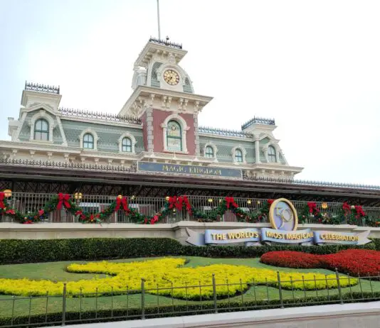 Alcohol in Magic Kingdom