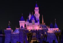 Tips for Planning your next Disneyland Vacation