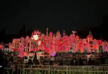 Disneyland Lightning Lane Attractions