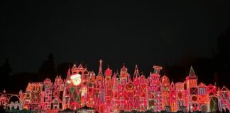 Disneyland Lightning Lane Attractions