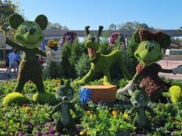 2023 Epcot International Flower