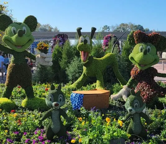 2023 Epcot International Flower