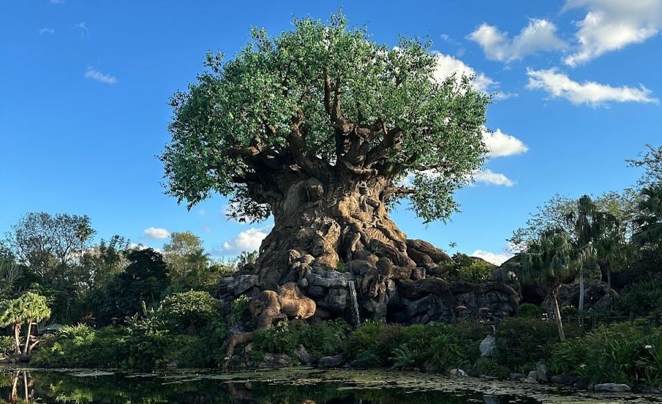 animal kingdom 1