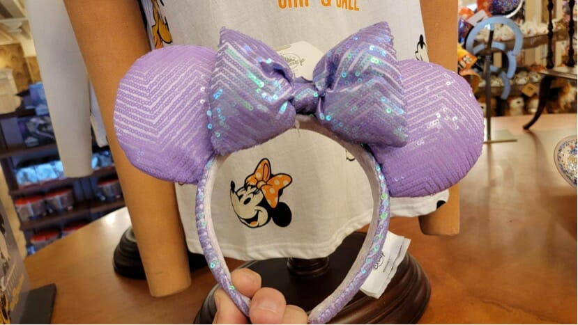 Disney Ear Headbands