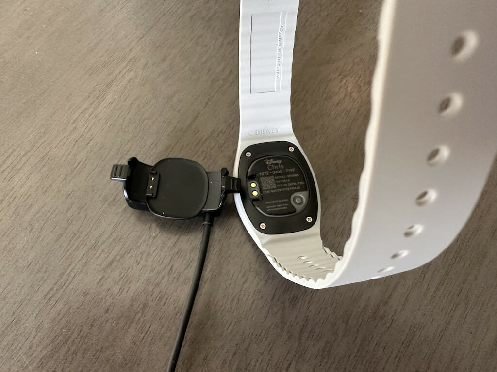 MagicBand With Charger