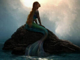 Little Mermaid 1