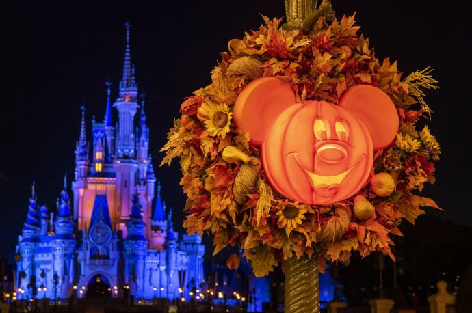 MNSSHP