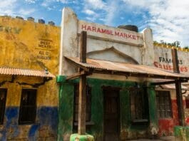 Harambe Market