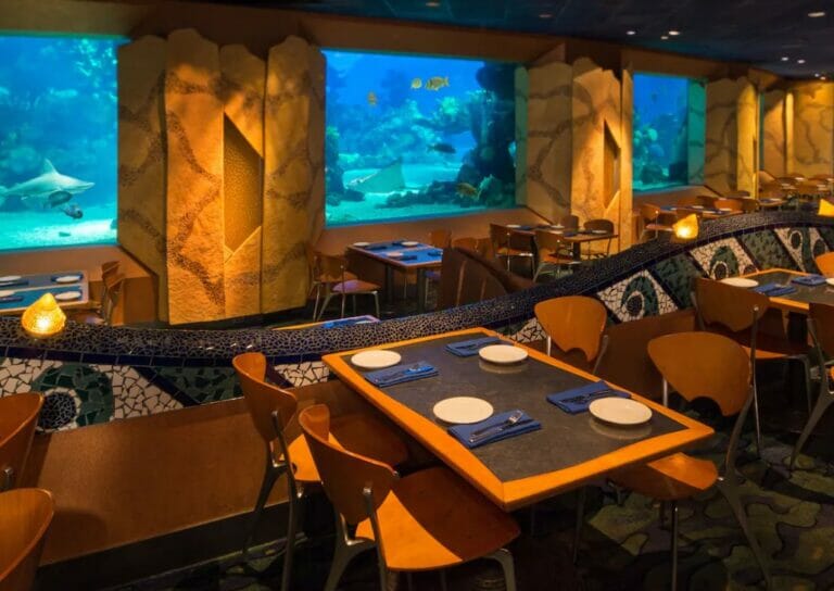 coral reef