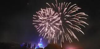 4th of july wdw cover