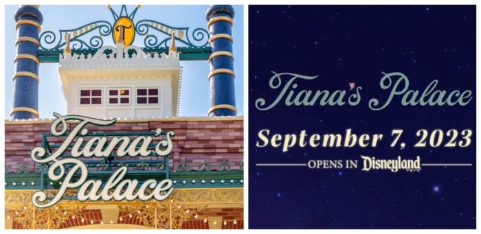 Tiana's Palace Menu