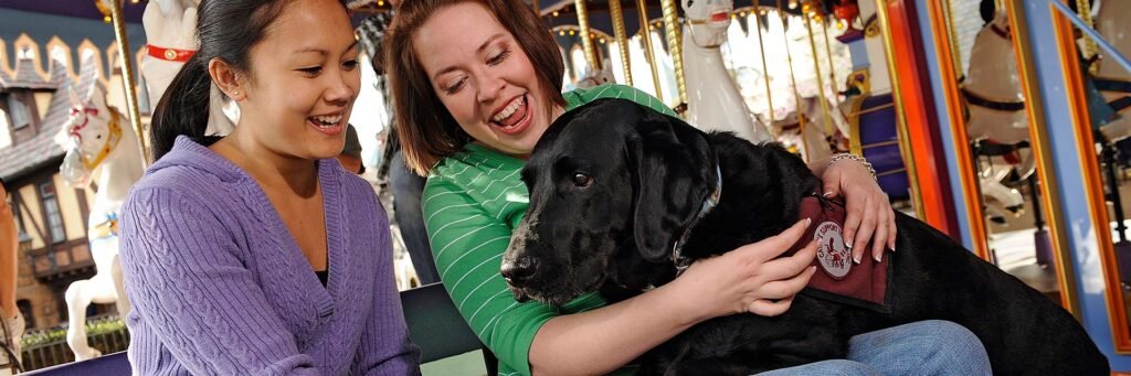 7 Attractions at Walt Disney World that Service Animals are Permitted 1