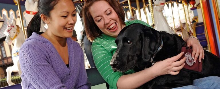 service dog