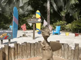 typhoon lagoon entrance