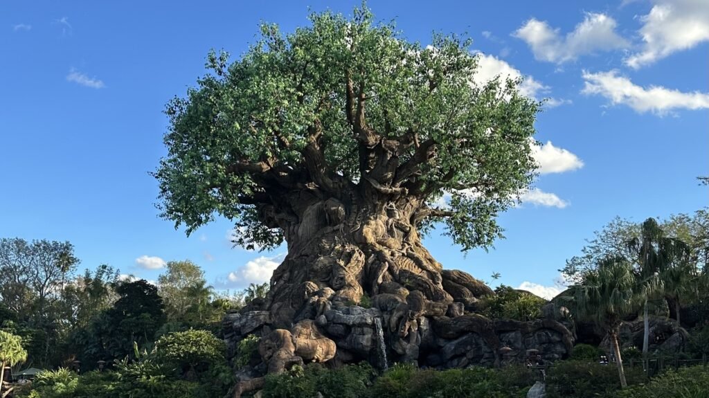 tree of life