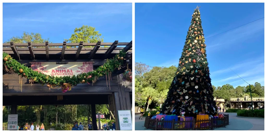 Ultimate Holiday Vacation at Walt Disney World animal kingdom