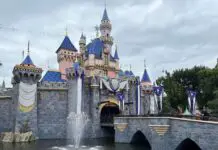 Planning your Next Disneyland Vacation